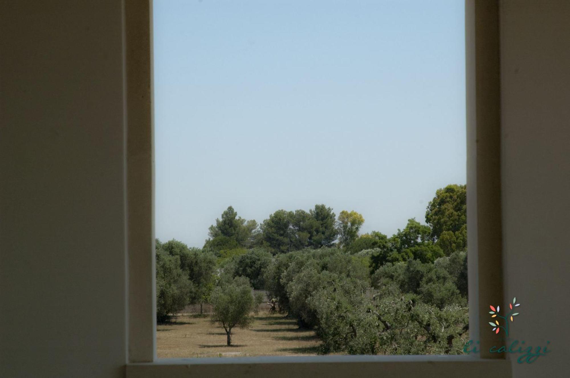 Agriturismo Li Calizzi Arte E Natura Novoli Cameră foto